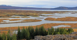 The Santa Barbara Wildfire